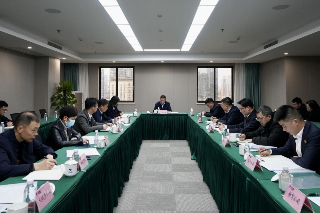 四川省ng28南宫相信品牌力量集团开展纪检监察干部队伍教育整顿学习教育